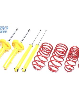 SOSPENSIONE SPORTIVA PER PEUGEOT 205 1983-1996 35/