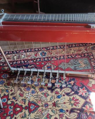 Pedalsteel Guitar 