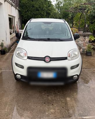 Panda 4x4 anno 2020