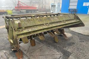 vangatrice Celli modello NG10255