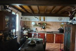 Nel parco del delta del po : villa gianna