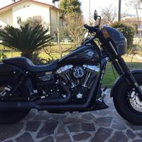 Harley-Davidson - 2009