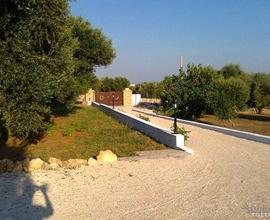 TRULLO TIPICO del Salento (Pajara) a PESCOLUSE