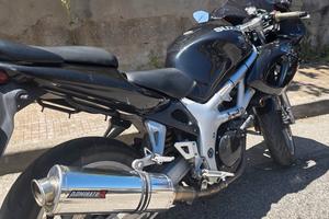 Suzuki iscritta fmi
