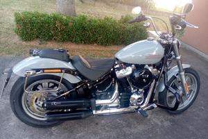 harley devison softali standard