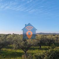 Castelvetrano Terreno In Zona Nord