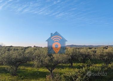 Castelvetrano Terreno In Zona Nord