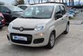 FIAT Panda Pandazzuri 1.2cc 69cv CLIMATIZZATORE