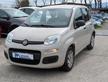 FIAT Panda Pandazzuri 1.2cc 69cv CLIMATIZZATORE