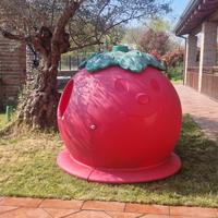 Giochi da giardino CASETTA DI POMODORO