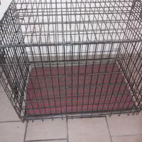 Box gabbia per cani