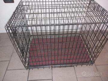 Box gabbia per cani