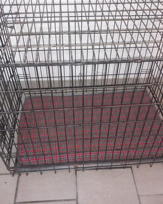 Box gabbia per cani