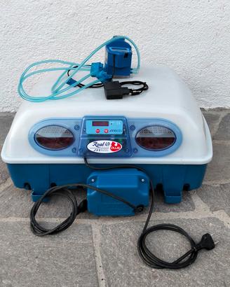Incubatrice Borotto