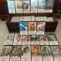 Collezione De Agostini animali