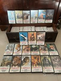 Collezione De Agostini animali