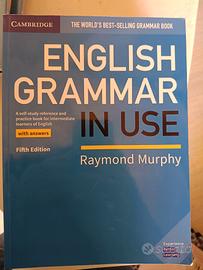 English grammar in use