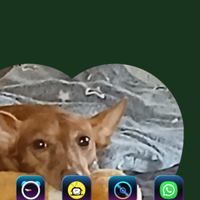 Signora x pulizie.dopo lavori