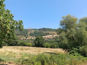 Terreno edificabile