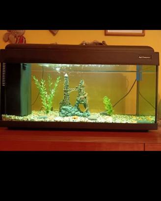 acquario 100 litri completo basta mettere l'acqua 