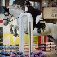 Cavallo