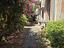 Immagine 30