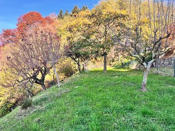 TER. AGRICOLO A VALDILANA