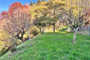 TER. AGRICOLO A VALDILANA