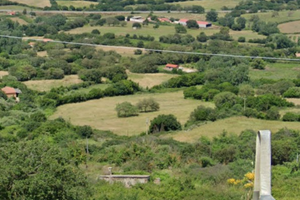 Pascolo per bestiame