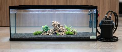 acquario