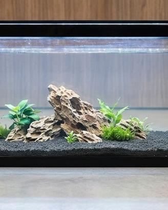 acquario