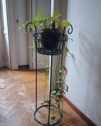 porta vaso