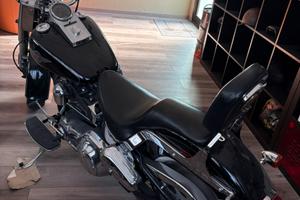 Harley davidson fat boy