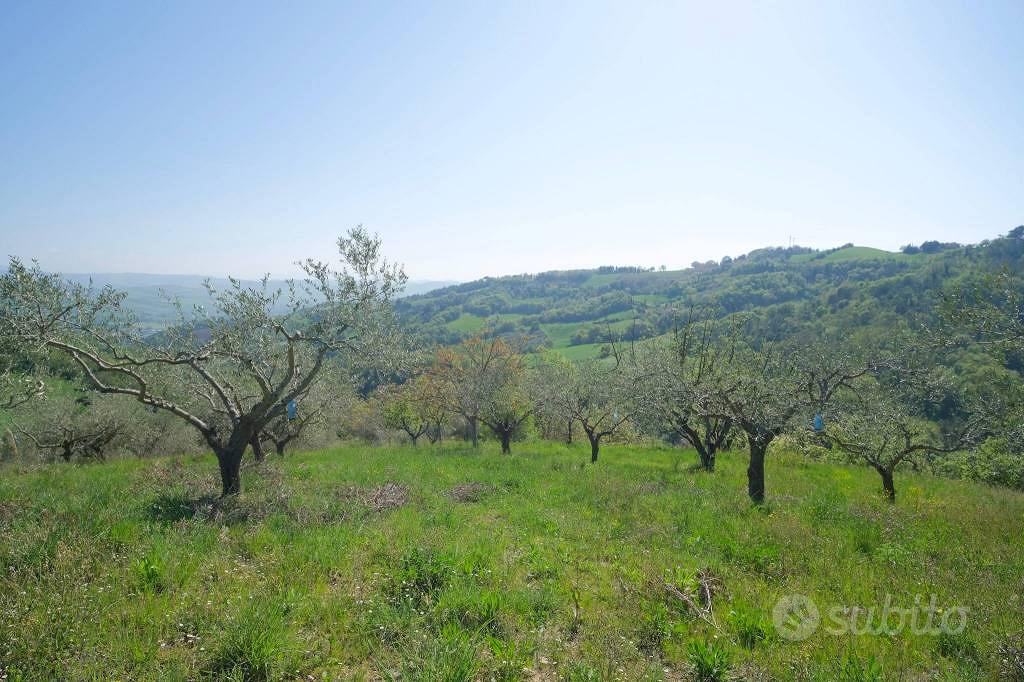 Rustico / Casale di 118 m² con 2 locali a Mondaino - Vista 5