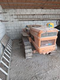 cingolato 35cv