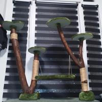 Tiragraffi artigianale 