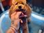 Immagine 1