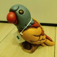 Pappagallo Thun grande