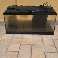 acquario 80L