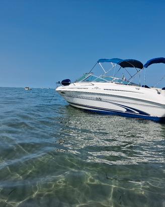 searay 215 expres