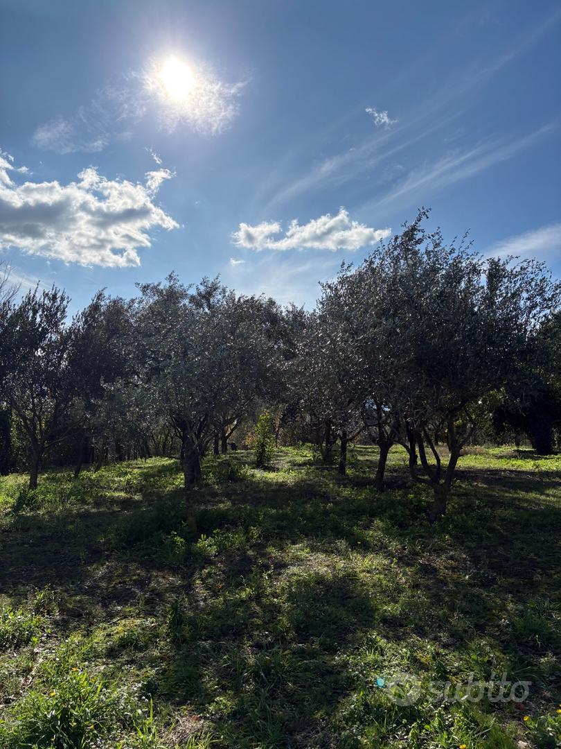 Terreno agricolo - Vista 2