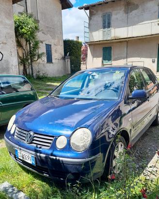 polo tdi usata 800 euro trattabile 