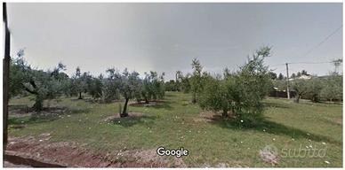 Terreno residenziale