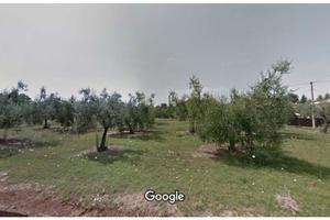 Terreno residenziale