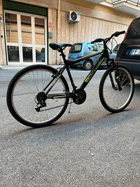 Bicicletta Mountain Bike