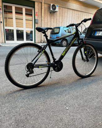 Bicicletta Mountain Bike
