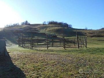 Immobile in asta di 12503 m² a Viano