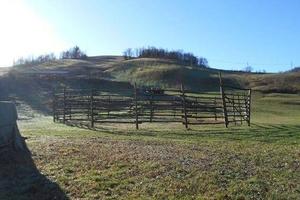 Immobile in asta di 12503 m² a Viano