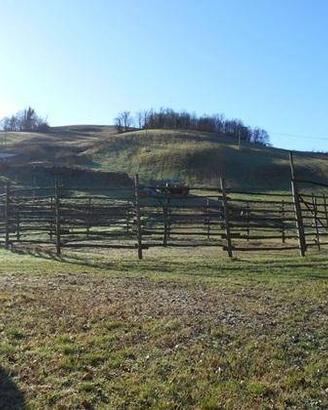 Immobile in asta di 12503 m² a Viano
