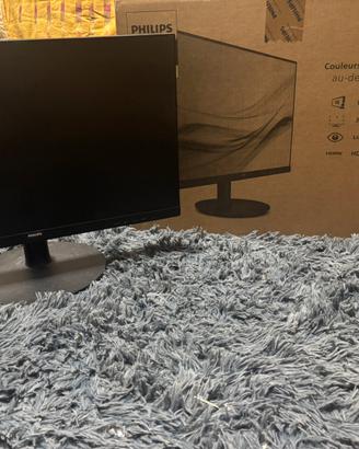 Monitor philips 22 pollici